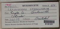 Image Associated With the Occurence